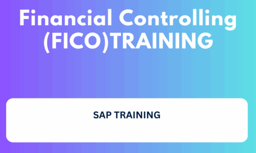 Sap Training – Financial Controlling (FICO)